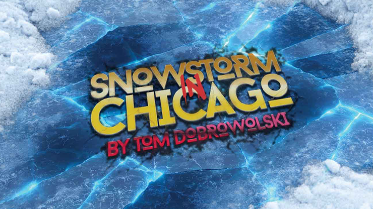 Bigblindmedia Presents Snowstorm In Chicago (Red) by Tom Dobrowolski